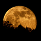 Image for article titled Report: The Moon, It’s Getting Closer!